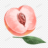 ✦9.1人网站 免费最新版APP应用